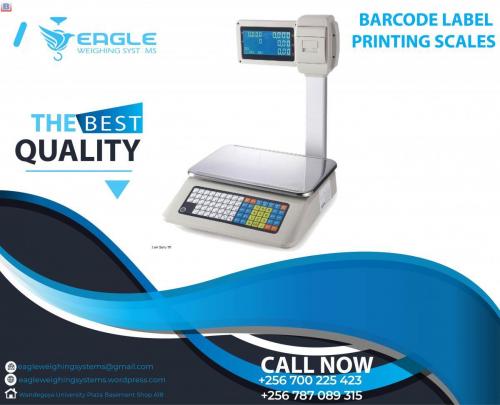 ACS-30kg Price Computing Scale with Printer Price Bench Scale