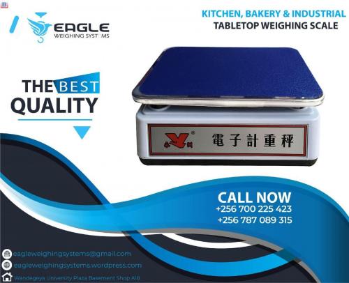 Acs Electronic Weighing Rechargeable Battery scale