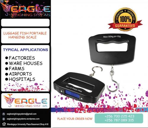 Eagle luggage scale