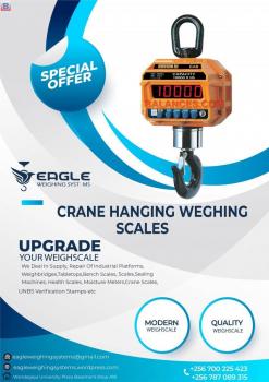 1 ton digital hanging crane scales