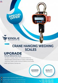 5 ton crane scales