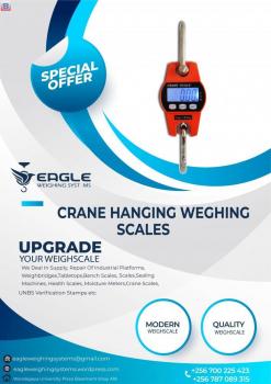 Digital Crane Portable Electronic Weighing Scales