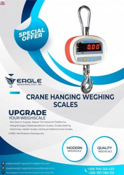 Hook Hanging Crane Scale