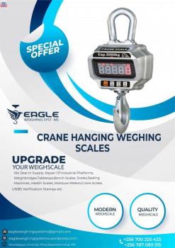 High Precision Hanging crane Digital Scale