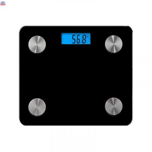 Precision Digital Bathroom Scale