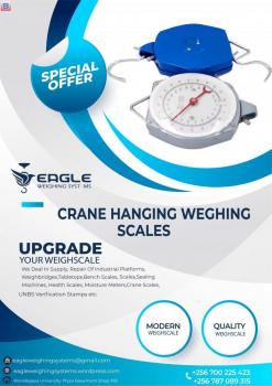 High precision Hanging weighing scale balances in Kampala Uganda