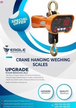 1 ton digital hanging crane scales in Kampala Uganda