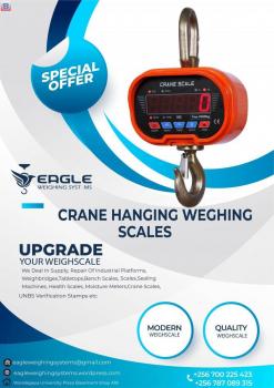 Industrial hanging/weighing crane scales supplier in Uganda