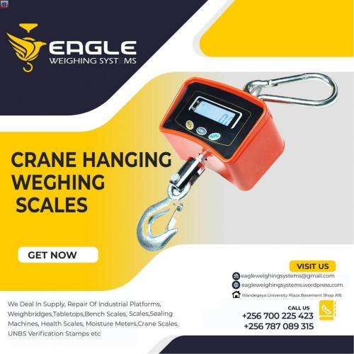 Electronic Hanging Crane digital weighing in Uganda