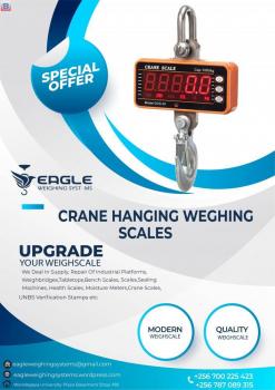 Digital Weighing Hook Hanging Crane Scales in Kampala