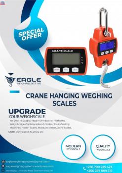 High Precision Hanging Digital Scales in Kampala Uganda