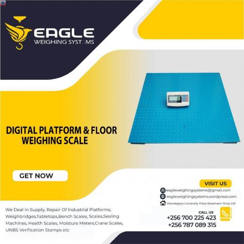 Weigh beam scale to weigh cattle