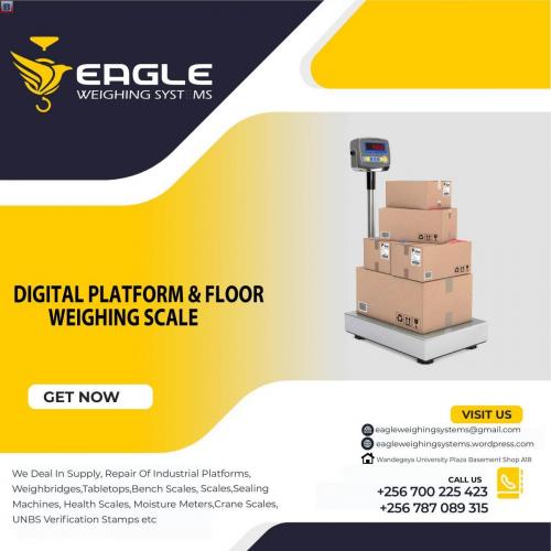 Digital Carbon Steel Platform Bench Scale with A12E Weighing Indicator