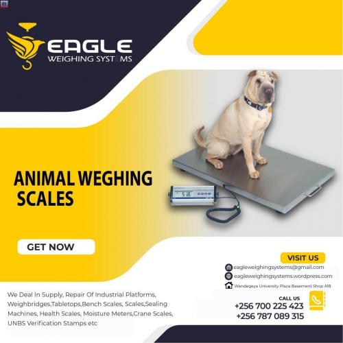 Pet platform weighing scales in Kampala Uganda