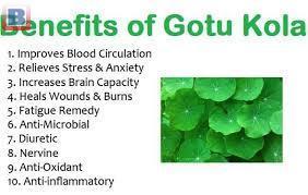 Gotu Kola - [[ +256782290431 ]]Organic Extract Powder Bag –Natural Plant Based Powders for Brewing, Smoothie, Tea and Infusions Nansana, Kira, Ssabagabo, Mbarara, Mukono, Njeru, Gulu, Lugazi, Masaka, Kasese, Hoima